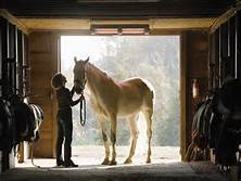 Solamagic COMPACT 1000 Watt infrarød No Glare terrassevarmer med træksnorafbryder - Hvid. 2 Solamagic COMPACT 1000 Watt infrarød No Glare terrassevarmer med træksnorafbryder - Hvid. - Image 2